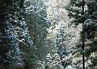 011223 p08