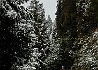 020212 p022