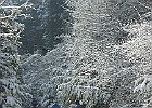 020212 p03