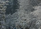 020212 p032