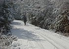 020212 p034