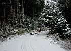020212 p054