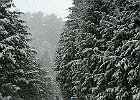 020212 p068