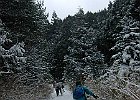 020212 p082