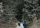 020212 p084