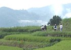 9月15日 葛城山麓亀らポタ(1)