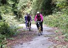 10月27日 東吉野村-高見峠