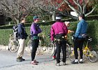 11月23日 葛城山麓亀らポタ(2)