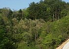 030504 p17
