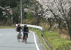 040403 p16