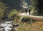 11月7日 野迫川に紅葉を求めて