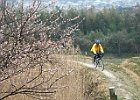3月20日 「葛城ポタ」