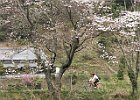 060409 p09