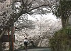 060409 p18