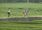 060603 p03