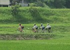 7月22日 「葛城ポタ」