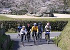 4月11日 「吉野山お花見サイク」