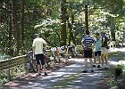 これからの季節は、快適な木陰で、自転車談義