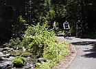 100522 p13