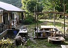天五さんは? 水槽に落ちたペグを探しているのですが...