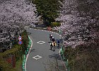 110410 p03