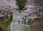 110410 p04