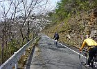 110410 p14