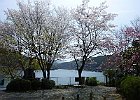 110410 p17
