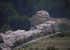 110410 p22