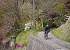 110429 p19