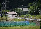 110717 p14