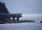 ガードレールが高すぎて...