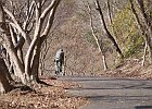 120103 p31
