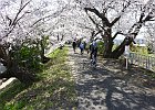 120408 p03