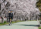 飛鳥葛城自転車道