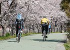 飛鳥葛城自転車道