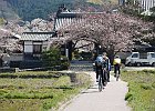 橘寺