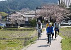 橘寺