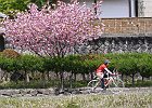 120429 p57
