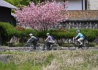 120429 p60