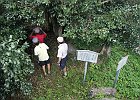 140907 p68