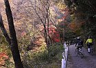 141124 p38