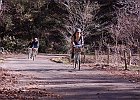 150103 p146