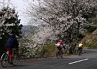 150412 p055