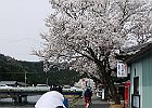 150412 p065
