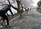 150412 p084