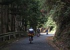 151010 p327