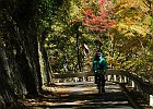 151025 p050