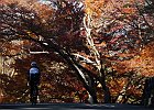 12月8日 吉野山サイク