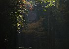 151213 p050
